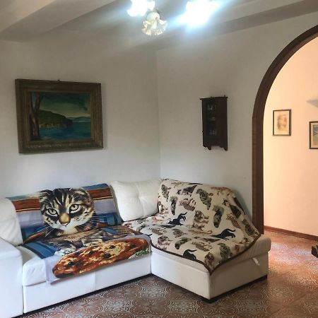 Casa Di Nella Apartment Campiglia Marittima Luaran gambar